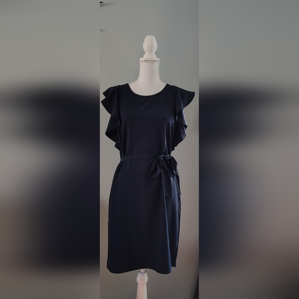 Banana Republic Flutter Sleeve Sheath Dress Size Small Tie Waist